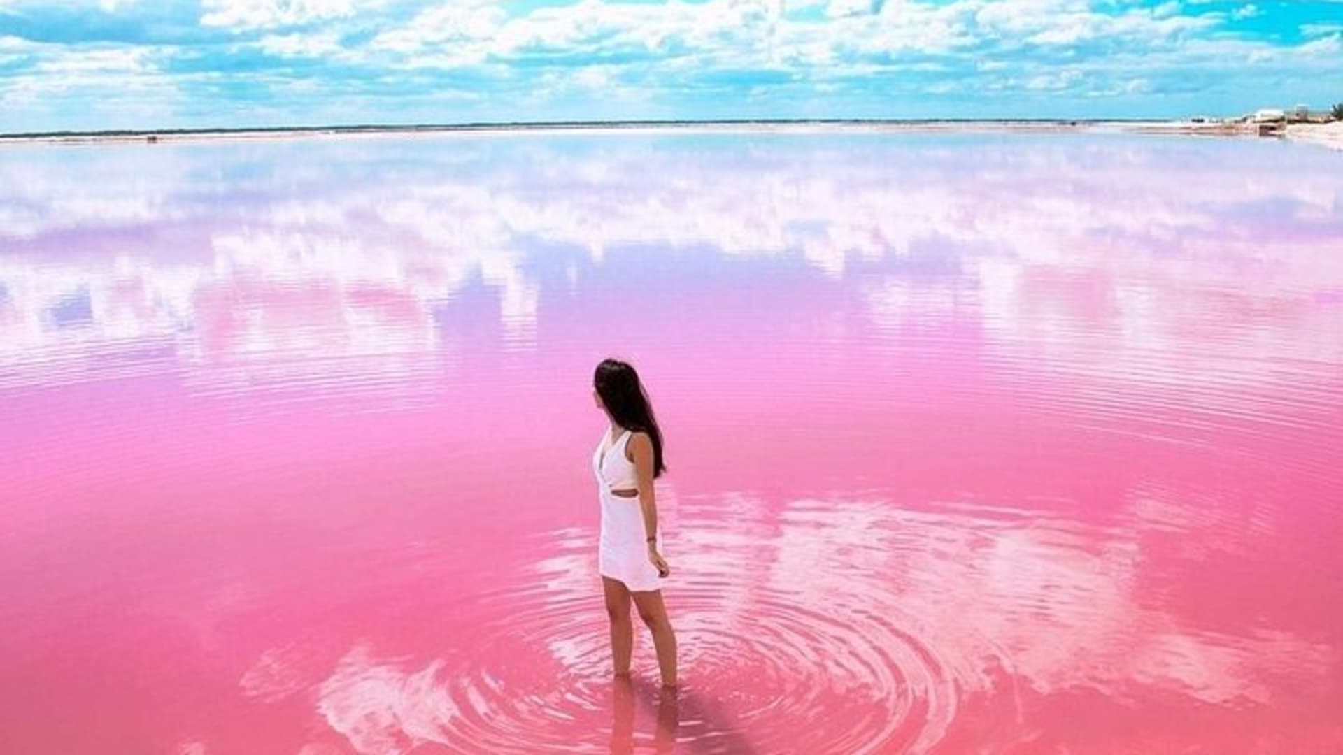 Explore Las Coloradas & Rio Lagartos, Full Day only from Tulum