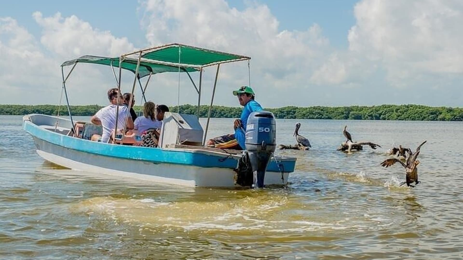 Boat Trip to the Biosphere Reserve in Celestún from Mérida
