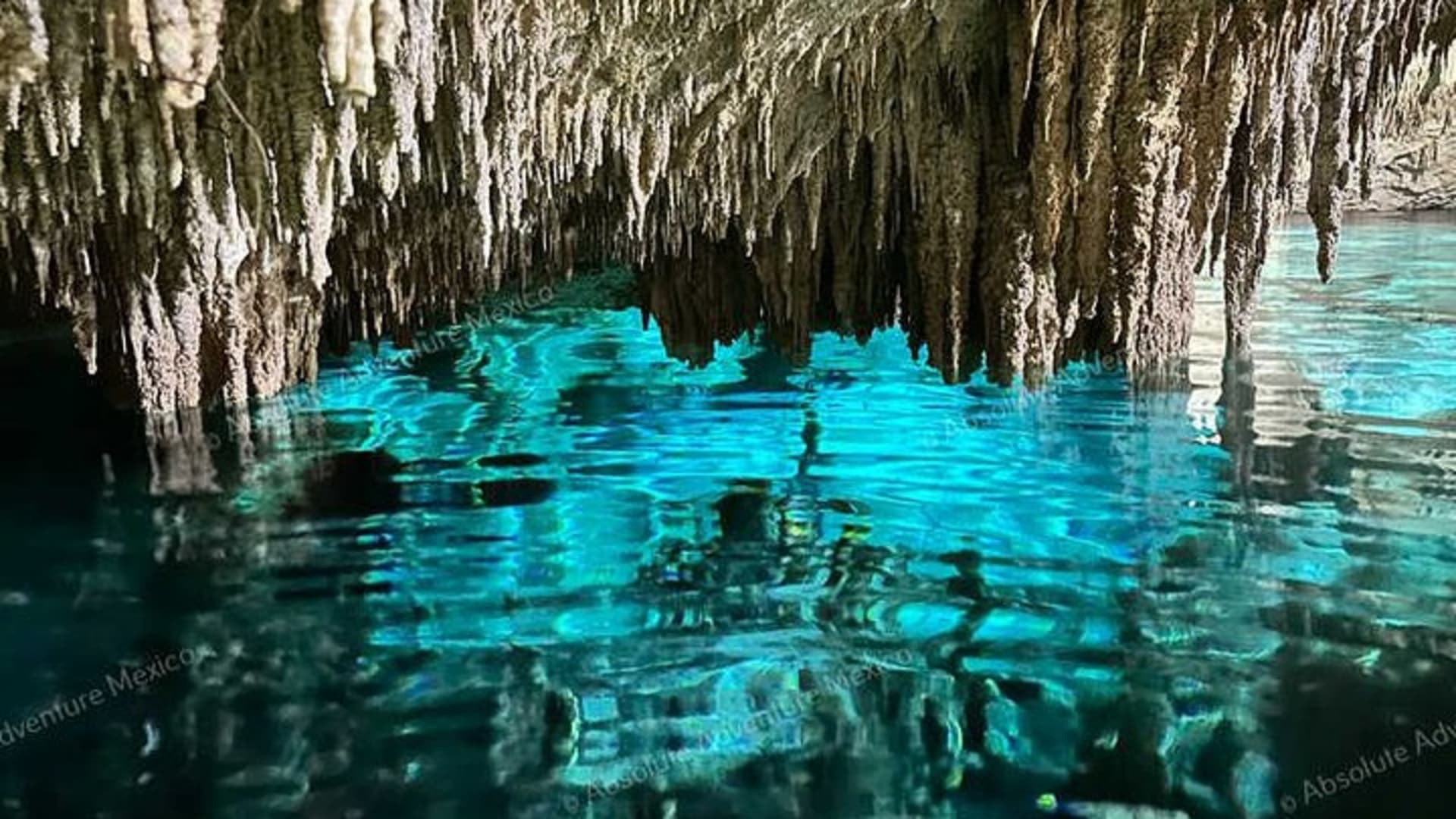 2 Cenotes Private Tour – VIP Adventure with Expert Guide