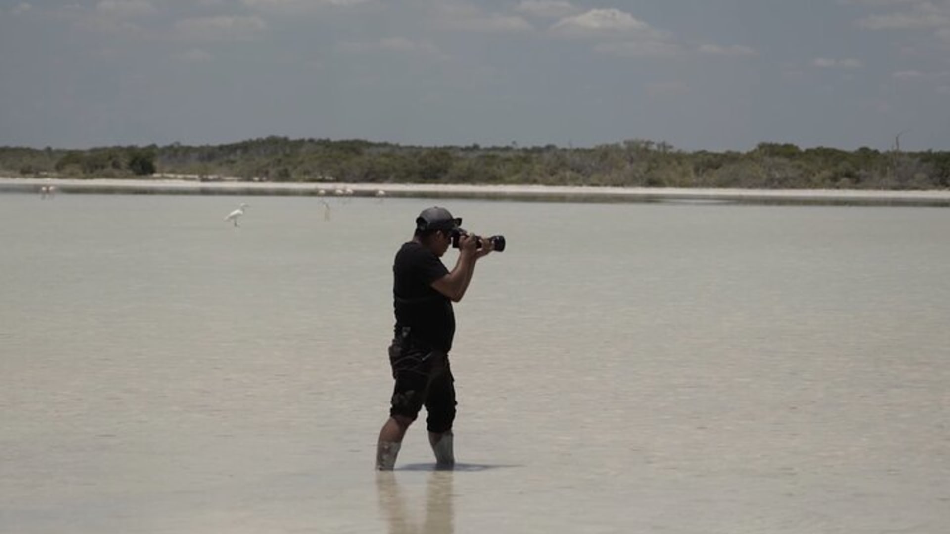 Full Day Tour from Tulum to Rio Lagartos