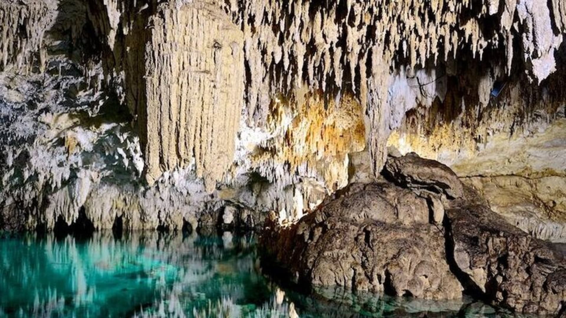 2 Cenotes Guided Snorkeling Adventure in Tulum