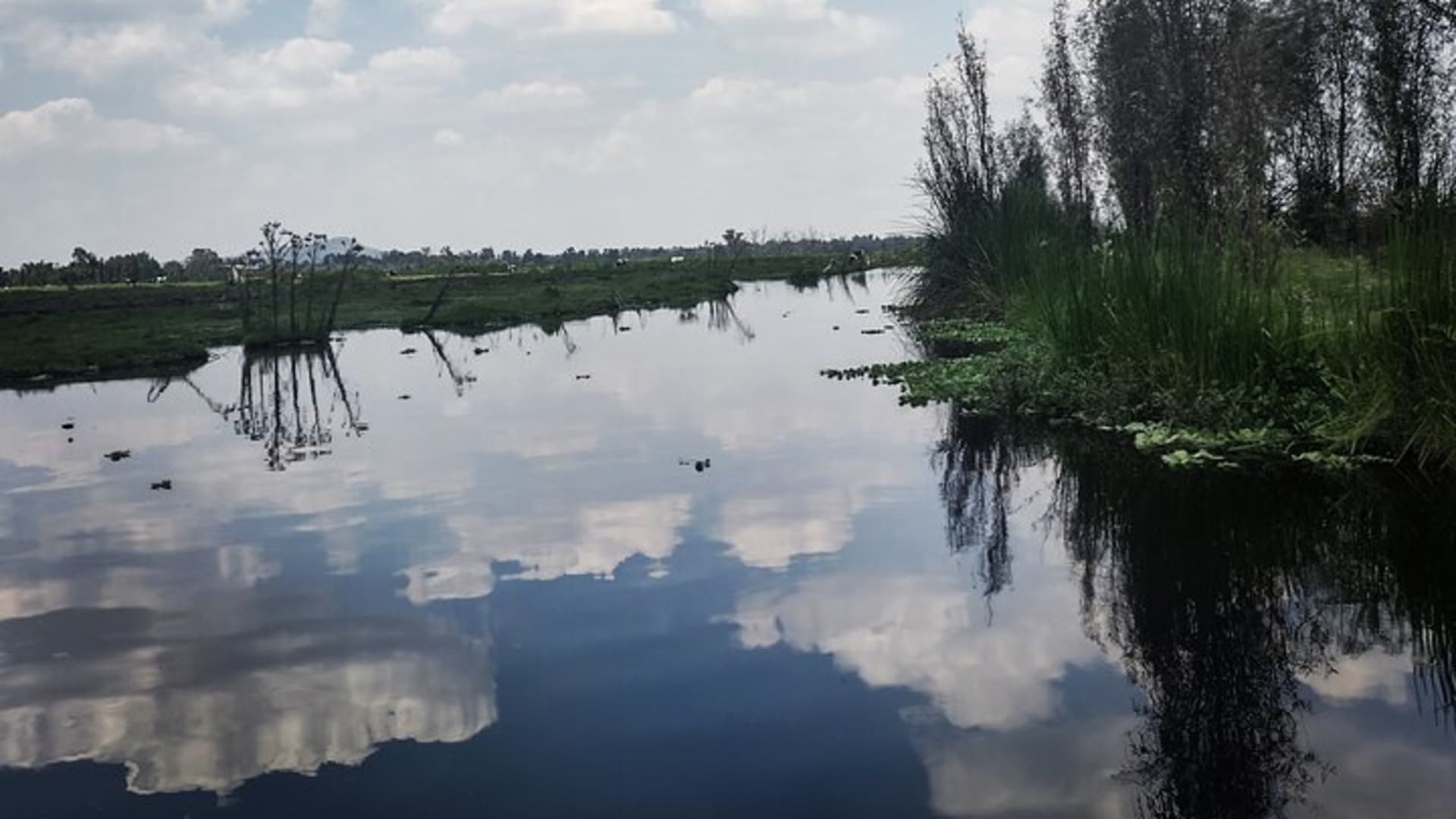 Xochimilco préhispanique, repas local inclus et axolotlarium