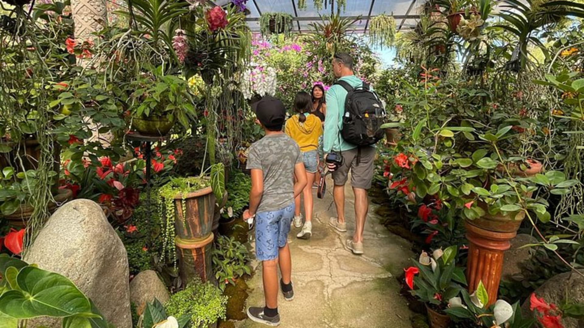 Randonnée au Jardin botanique de Puerto Vallarta