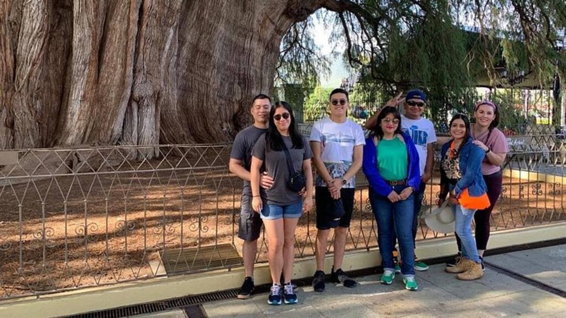 Excursion d'une journée à Tule, Mitla et Hierve el Agua avec guide certifié