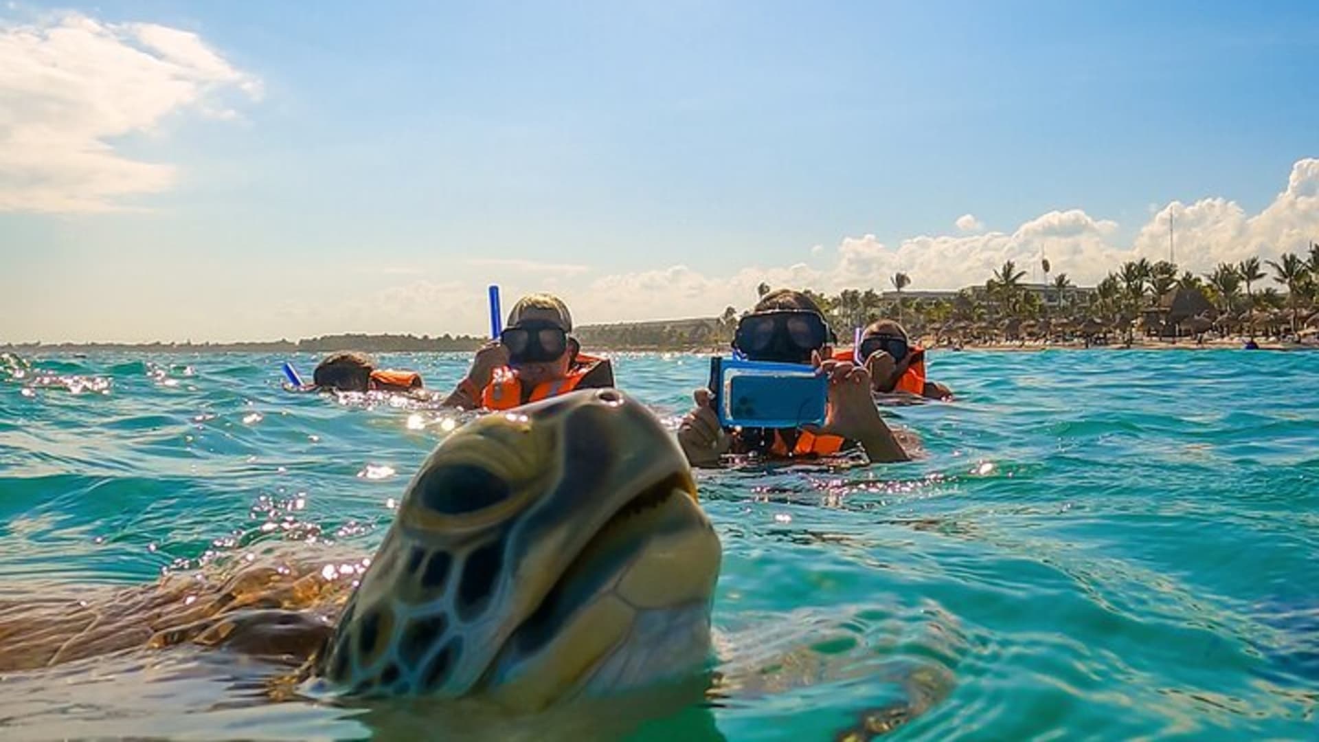 Experience swimming with turtles and explore the ruins of Tulum. Lunch included.