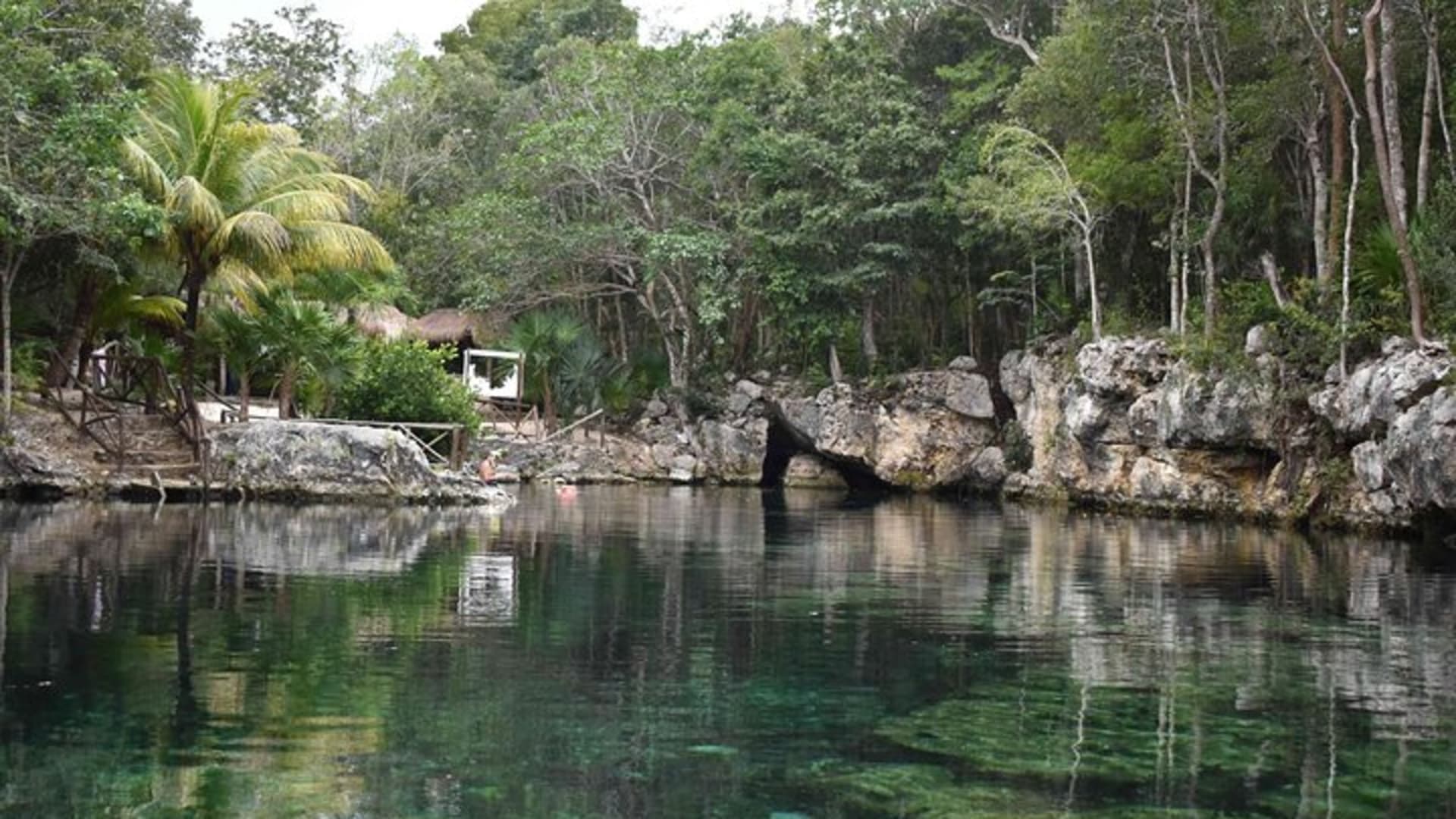 Half Day Cenotes Tour