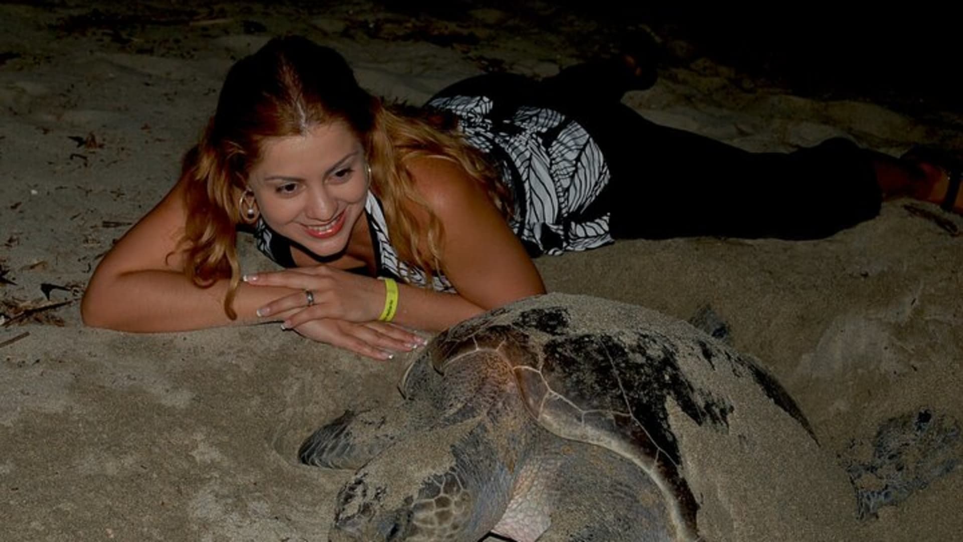 Camp des tortues à Puerto Vallarta : lâcher de bébés tortues et pontes de femelles