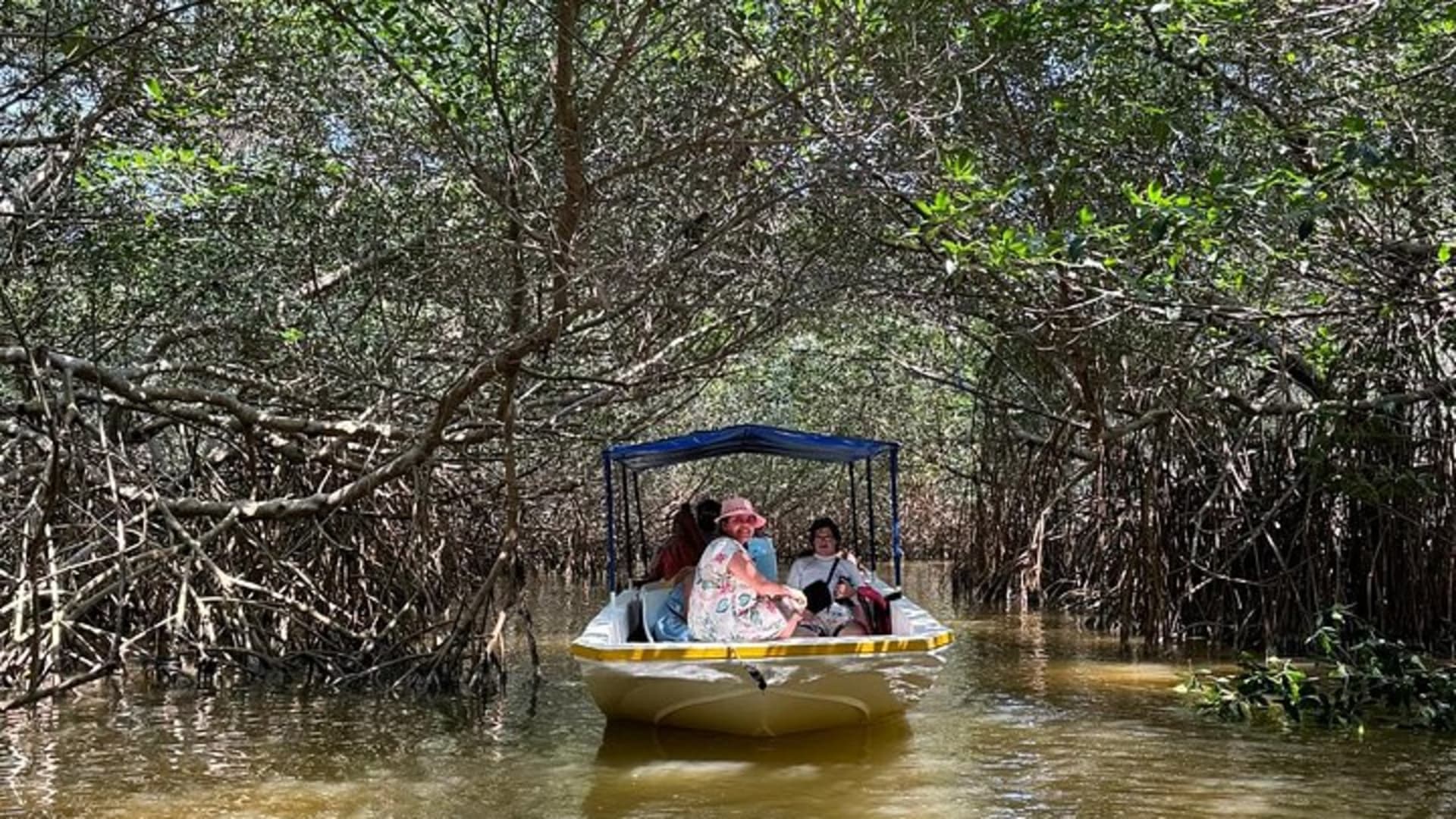 Paseo en lancha por los manglares de Celestún y playa desde Mérida