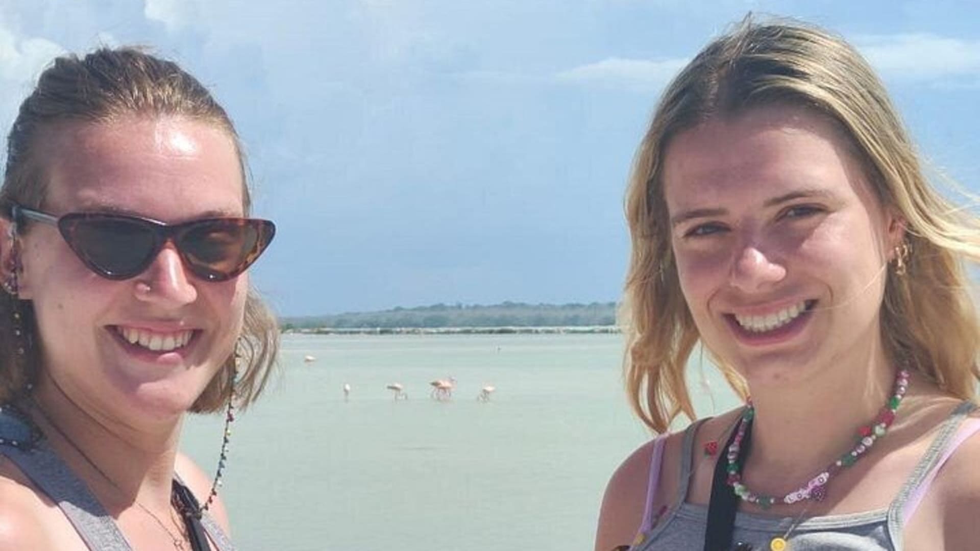 Birdwatching around Merida and coastline