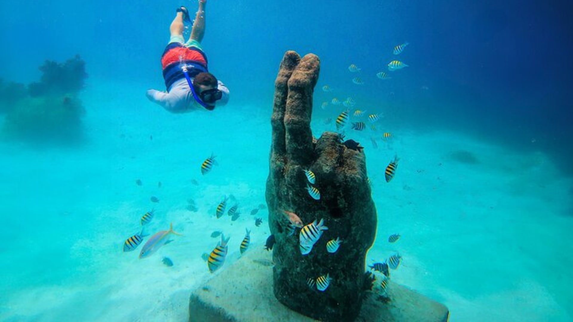 Isla Mujeres Luxury Sailing: Adults Only or Family Friendly