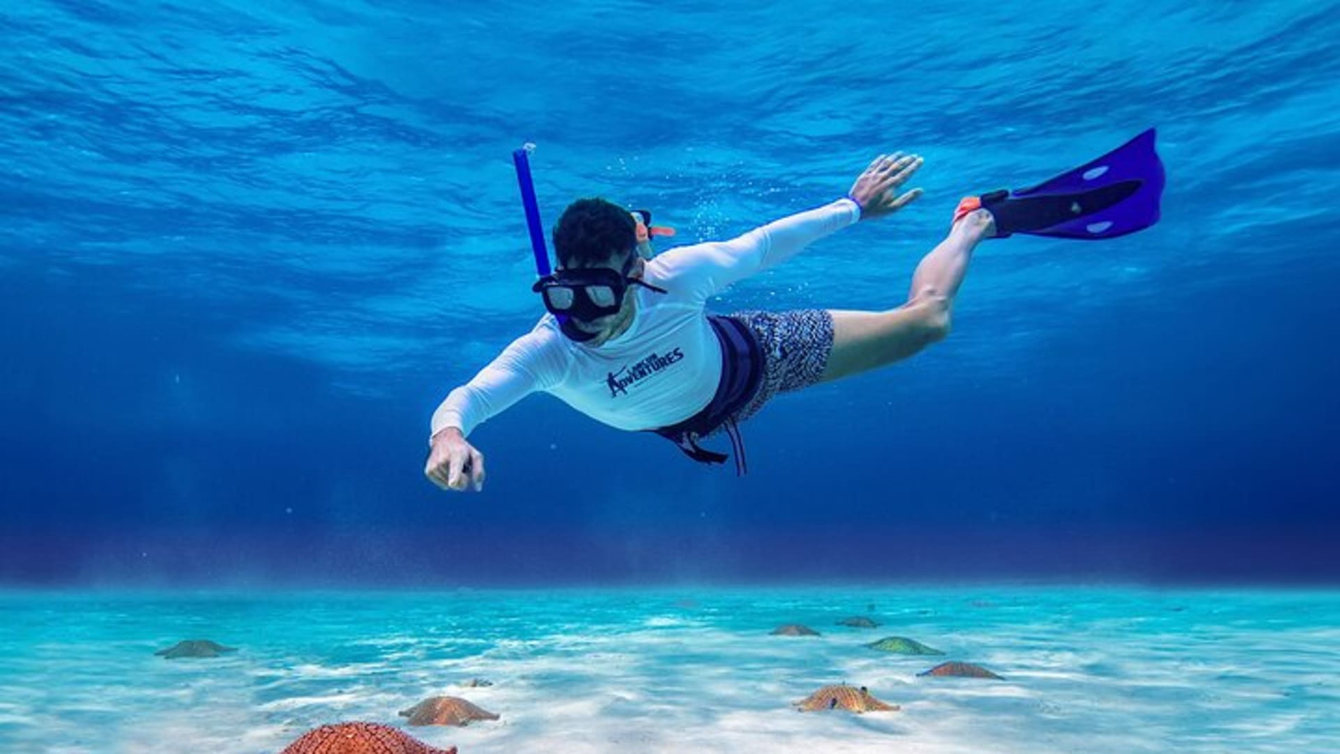 Esnórquel en Cozumel: Estrellas de Mar y Arrecife Tropical en Lancha Rápida con Comida