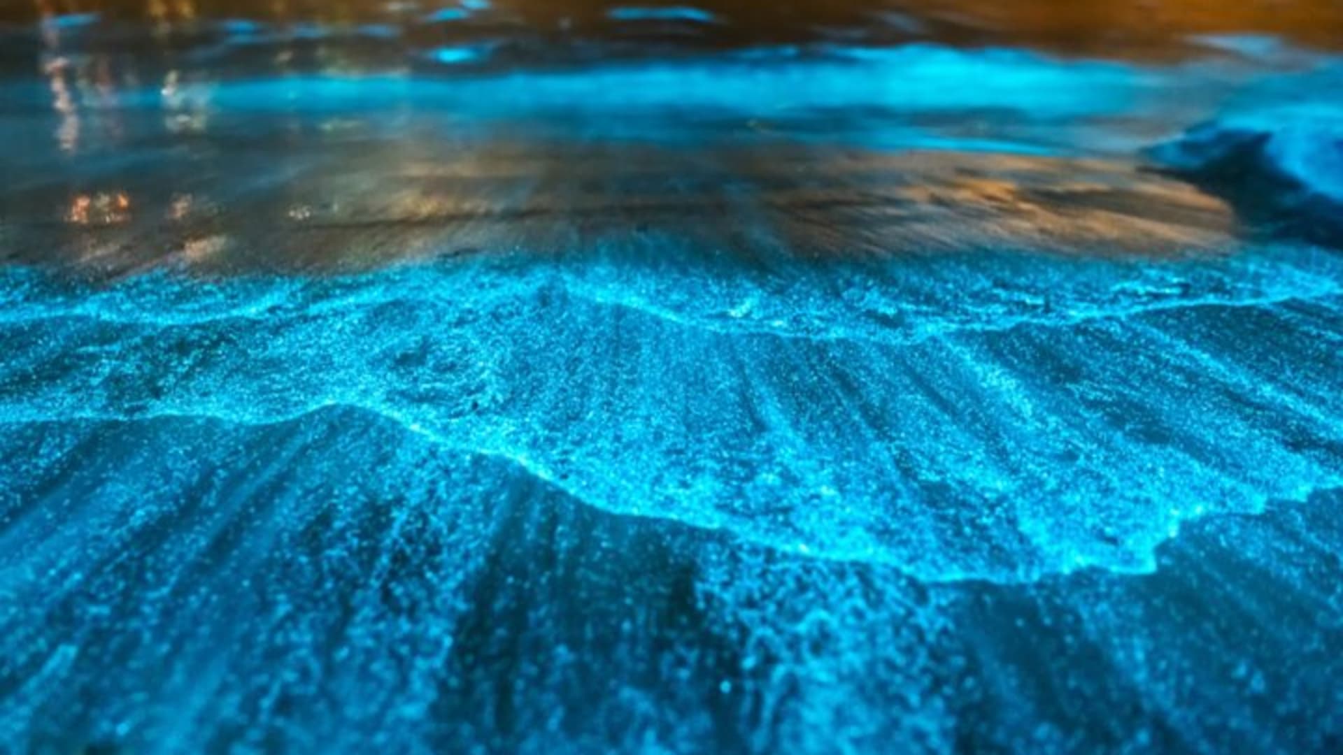 Bioluminescence by Kayak or SUP to Los Arcos, Puerto Vallarta