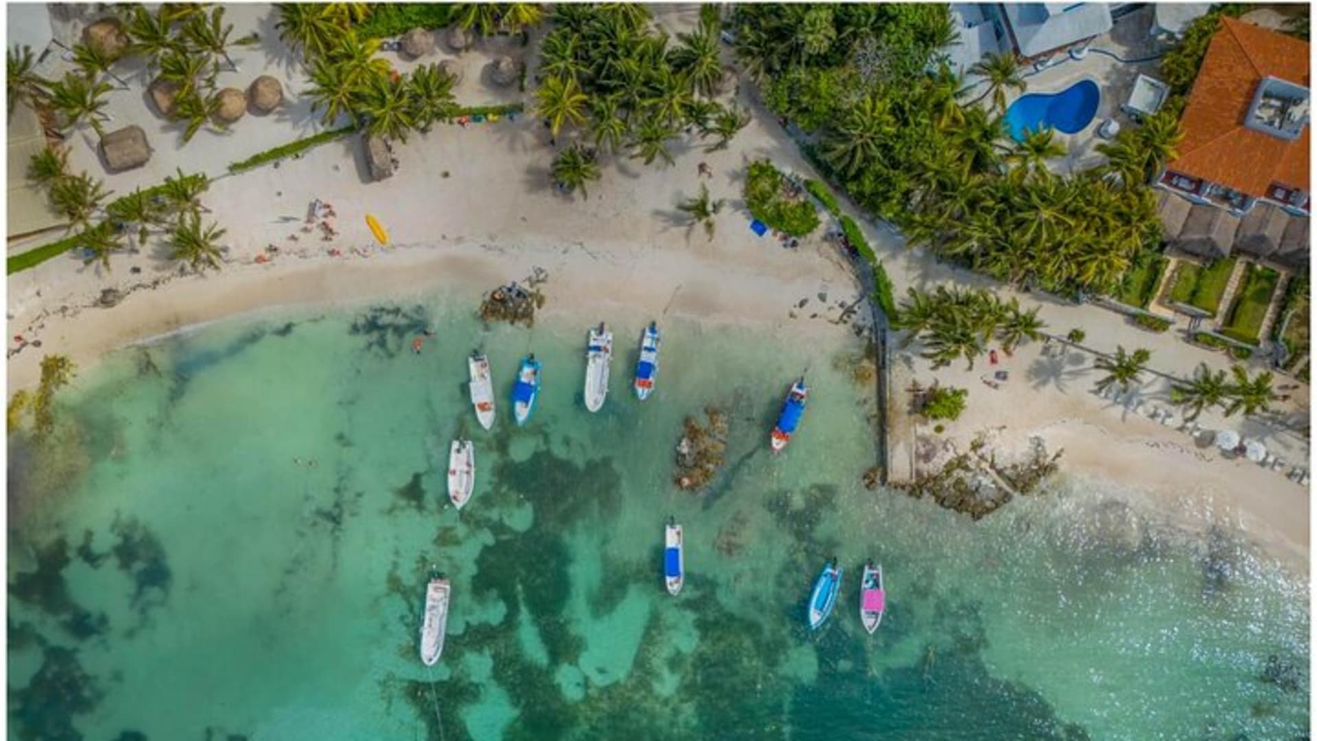 Tour de las ruinas de Tulum, tortugas en Akumal y cenote