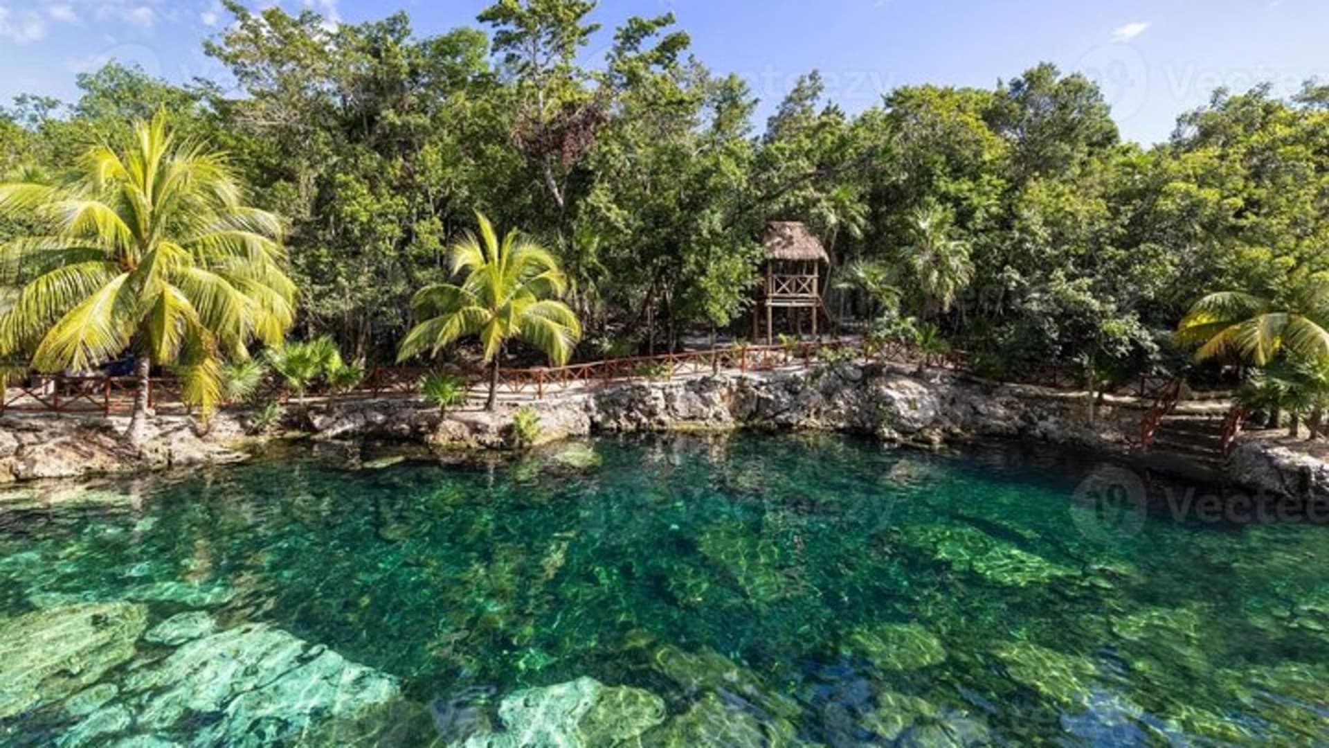Cenotes Casa Tortuga: 5 Cenotes Day Pass