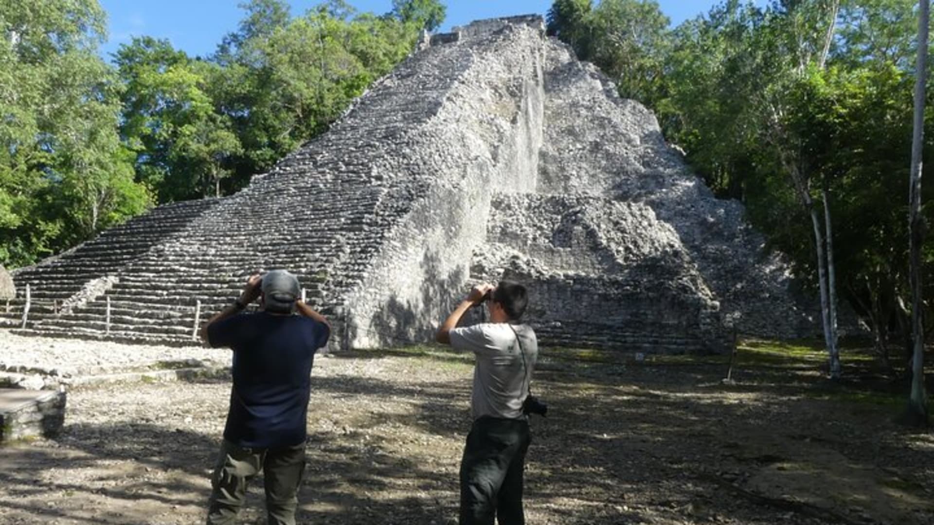 Coba and Punta Laguna Guided Birdwatching Private Tour