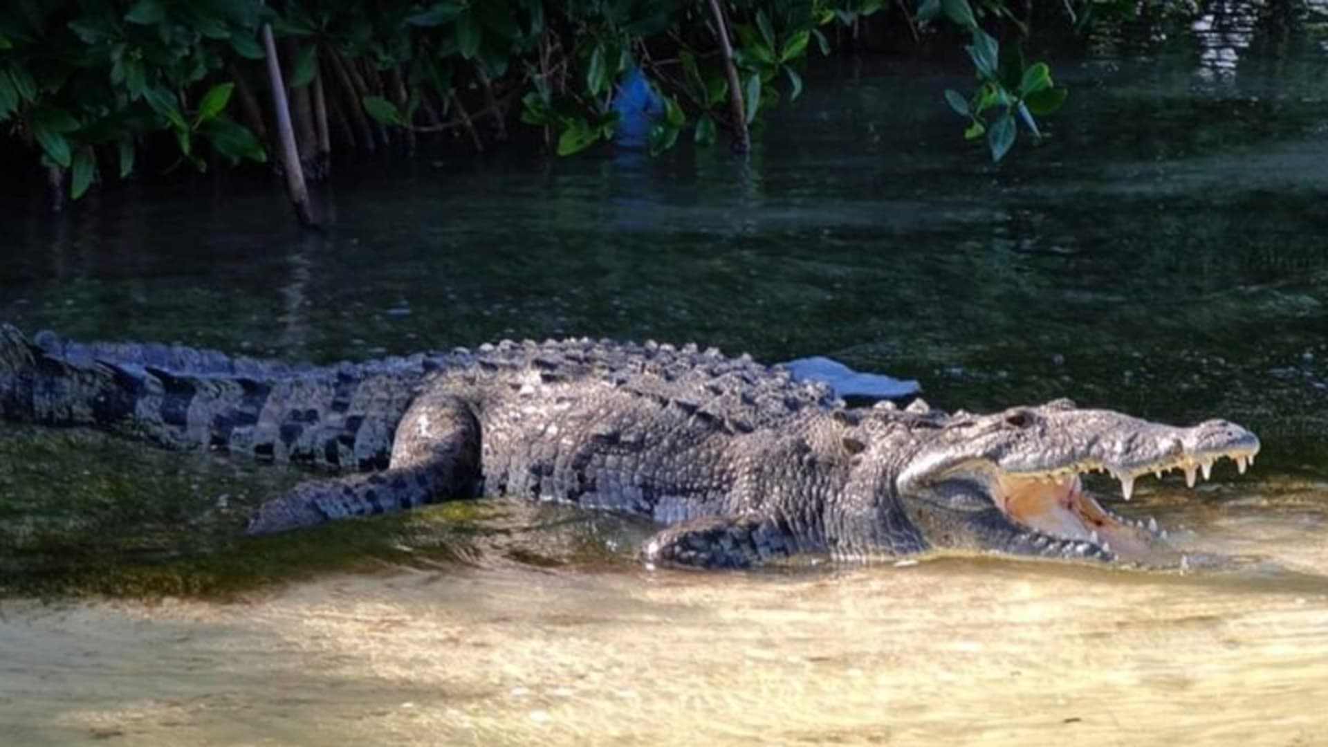 Sian Kaan Reserve Bike Tour & Fishing at Crocodile Bridge & Meal