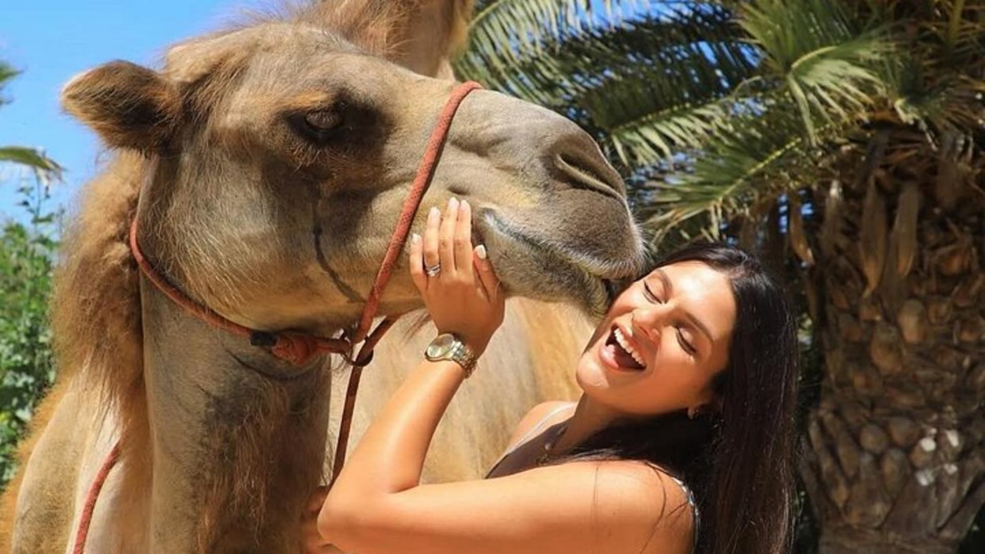 Safari à dos de chameau et expérience gastronomique à Los Cabos