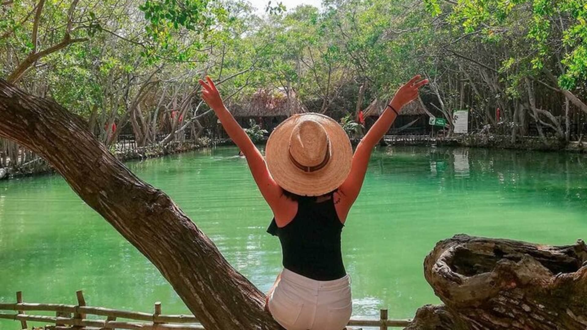 Aventura por la costa norte: Isla Columpio, Puerto Progreso y Chuburná