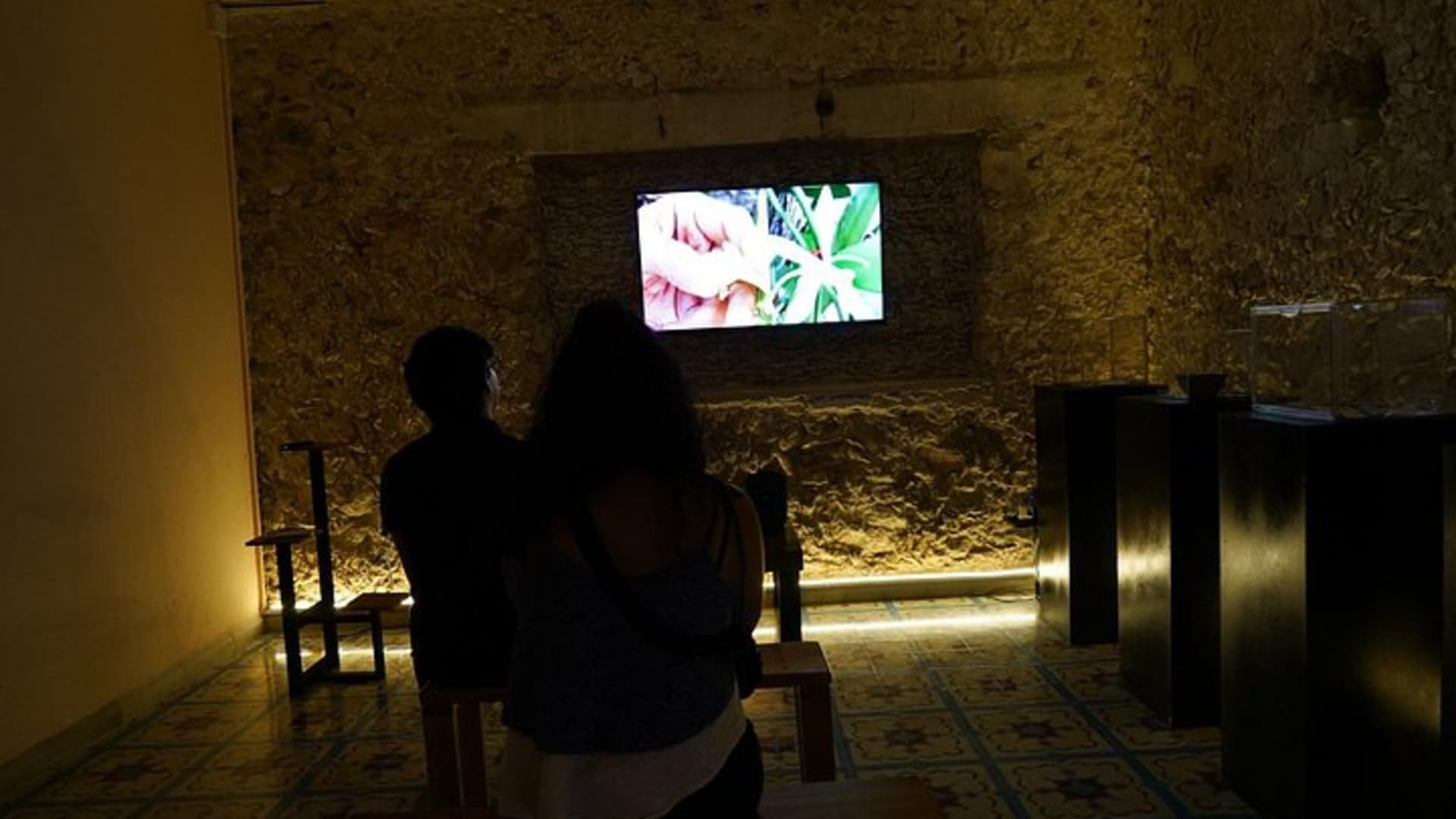 Expérience vanille : saveur, histoire, galerie et jardin