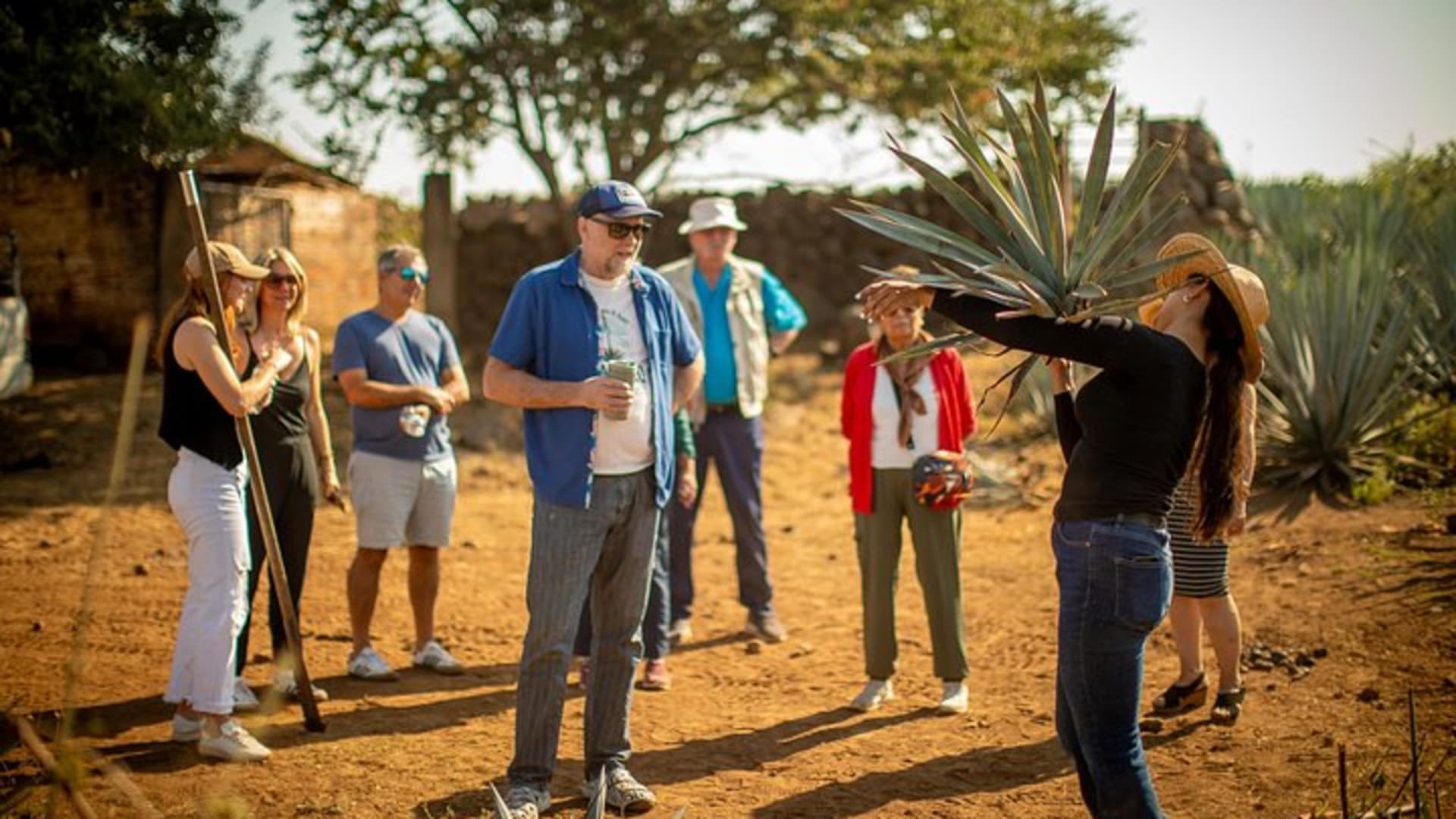 Ultimate tequila 2 day trip from Puerto Vallarta