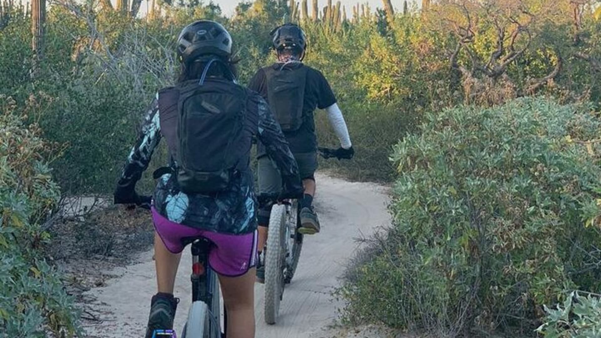 Guided Cactus Forest Mountain Bike Experience in La Ventana