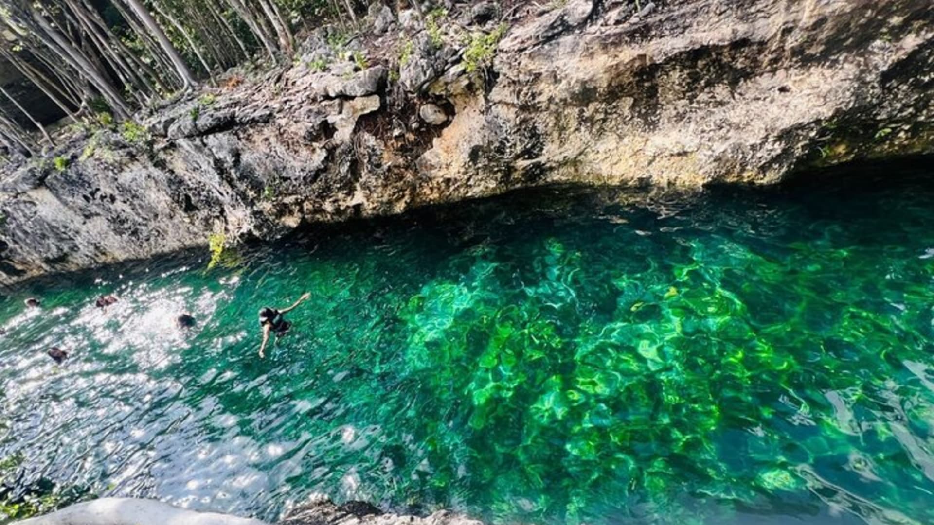 Tickets to 4 cenotes turtle house 2 caverns and 2 outdoors