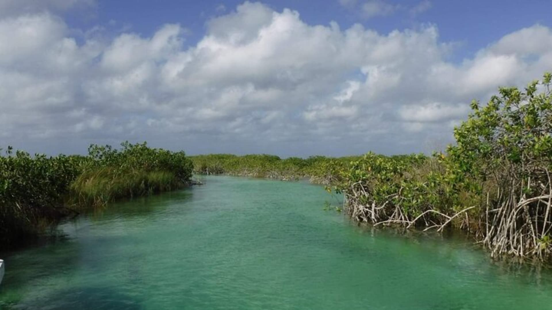 Sian Ka'an Tour (Private, Half Day)