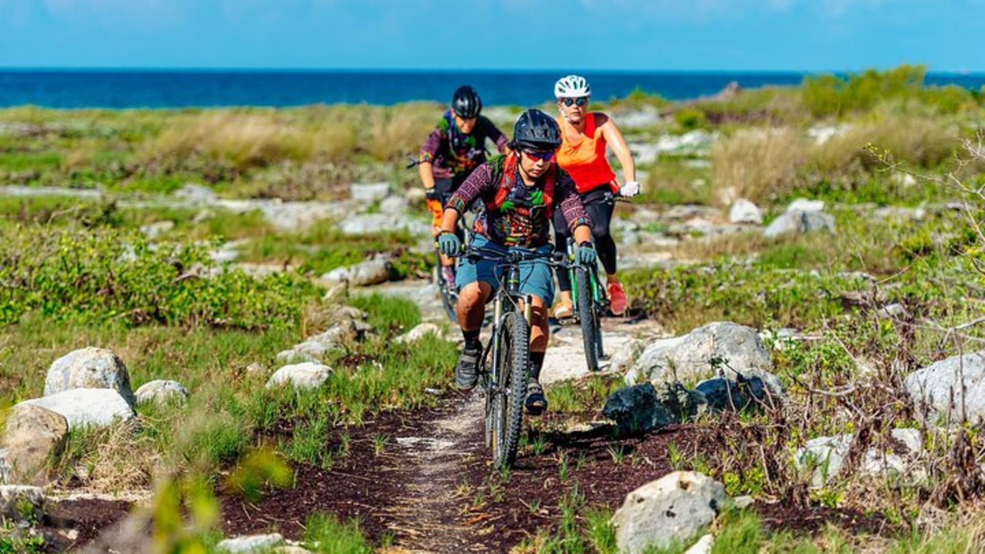 Jungle Off Road Bike Tour by Cenotes and Coastline