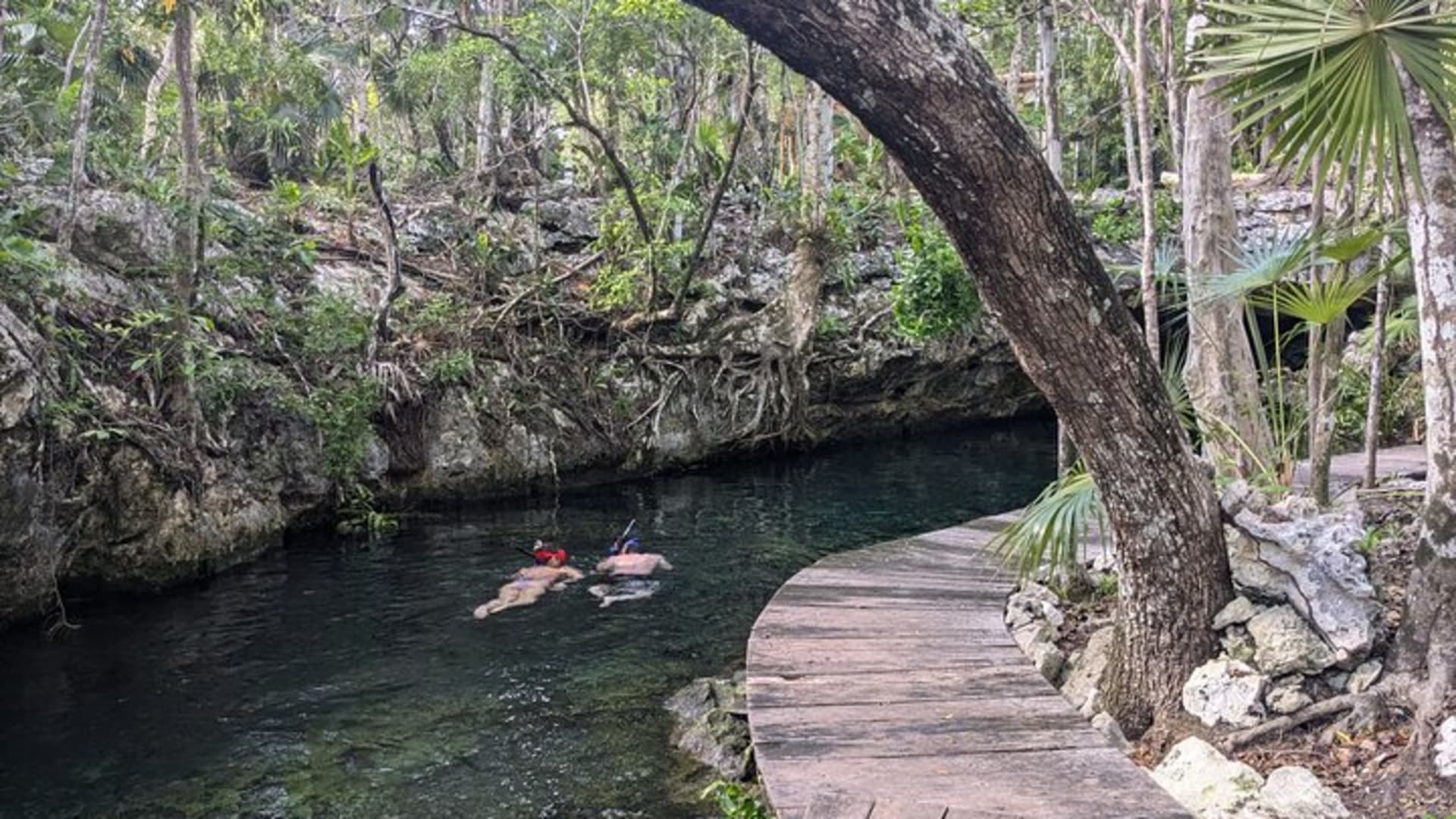 Tulum Private Cenotes Trio - Open, Semi Open and Cave experience