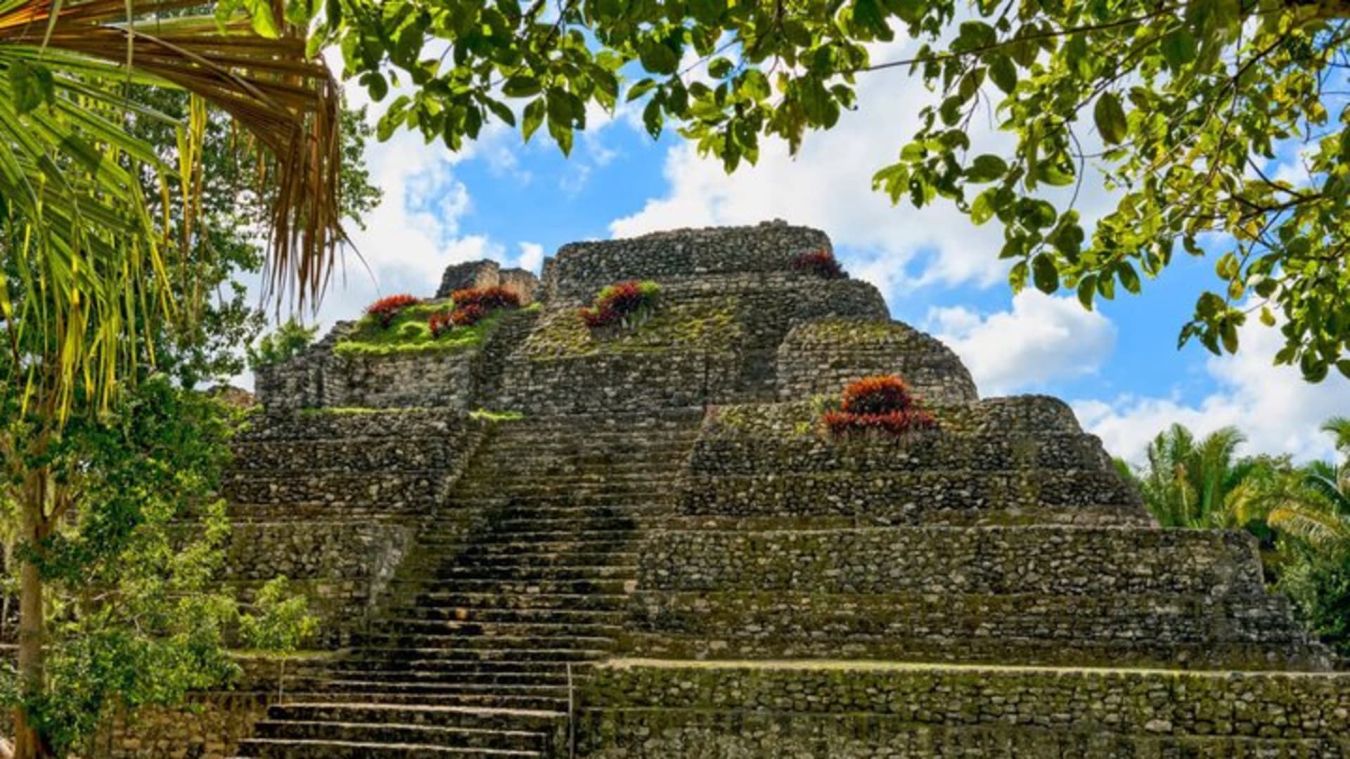 Tulum Private Day Trip with Car and Walk