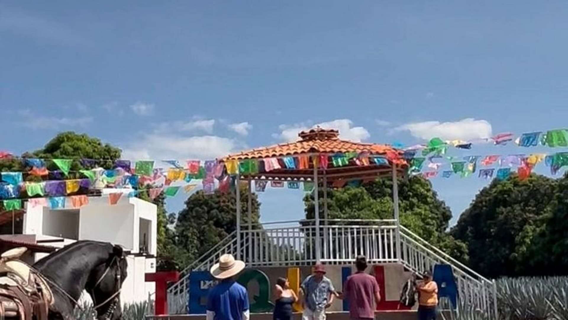 2 Days Tequila Road Trip from Puerto Vallarta