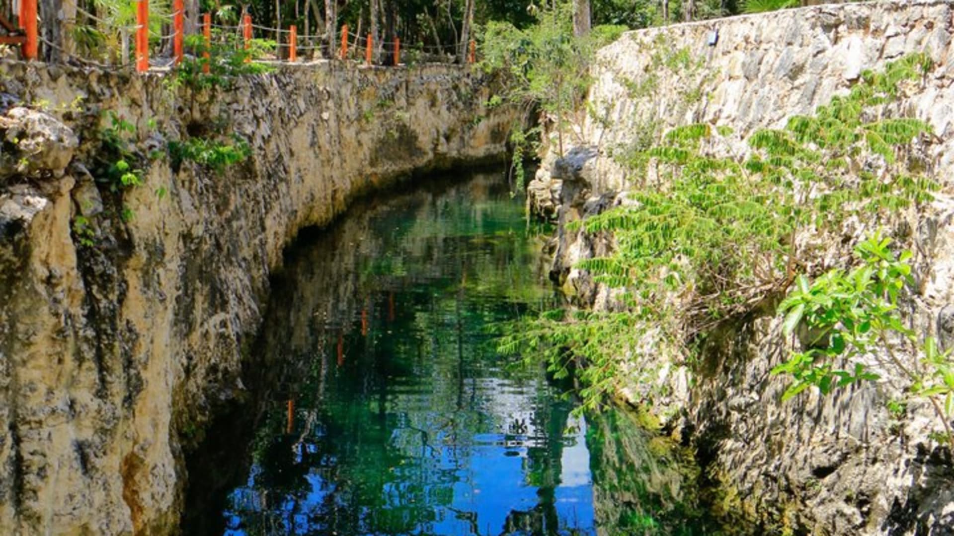 Tulum Cenote Tour 5 Cenotes and Awaken Your Senses