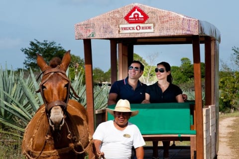 Private Tour: Uxmal & Hacienda Sotuta de Peon by Yucatan Concierge — photo 2