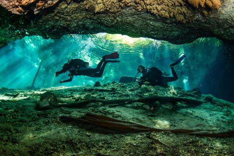 Go for 2 dives in cenote Dos ojos for certified divers — photo 1