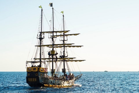 Whale-Watching Pirate Ship Cruise in Los Cabos — photo 7