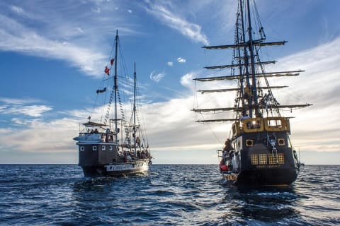 Whale-Watching Pirate Ship Cruise in Los Cabos — photo 6
