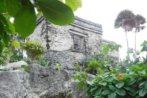 Tulum Ruins Tour (Private, Half Day) — photo 3