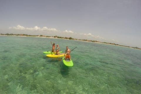Paddleboard Rentals 3, 5 , 7 days — photo 1