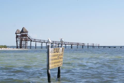 HOLBOX ISLAND TOUR - from Holbox (Private) — photo 4