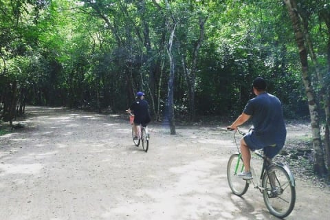 Cobá Ruins Tour (Private, Half Day) — photo 3
