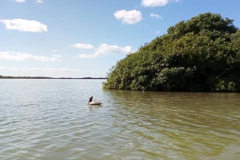 Sian Ka'an Biosphere Ancient Canals Expedition — photo 11