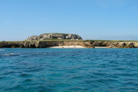 Whale Watching and Snorkeling in Marietas Islands National Park — photo 4