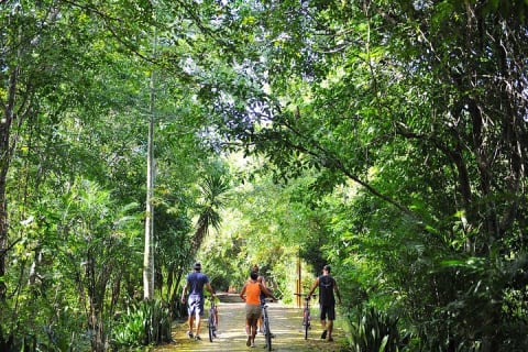 Mayan Backroads Private Bike Tour from Tulum — photo 14