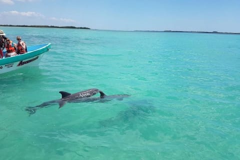 Sian Ka'an Biosphere Full Day Boat Tour with Lunch — photo 5