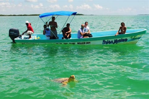Sian Ka'an Biosphere Full Day Boat Tour with Lunch — photo 8