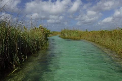 Sian Ka'an Adventure (Private, Full Day) — photo 2