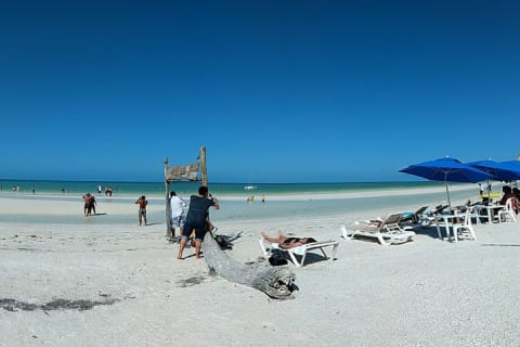 Isla Holbox All Inclusive with Transportation (Breakfast and Food Included) — photo 3