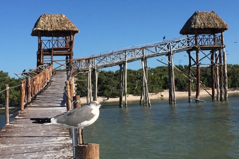 Eco Classic Tour Holbox — photo 1