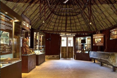 Uxmal and Choco Story Private Tour from Merida — photo 6