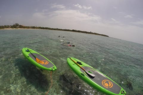 Paddleboard Rentals 3, 5 , 7 days — photo 4